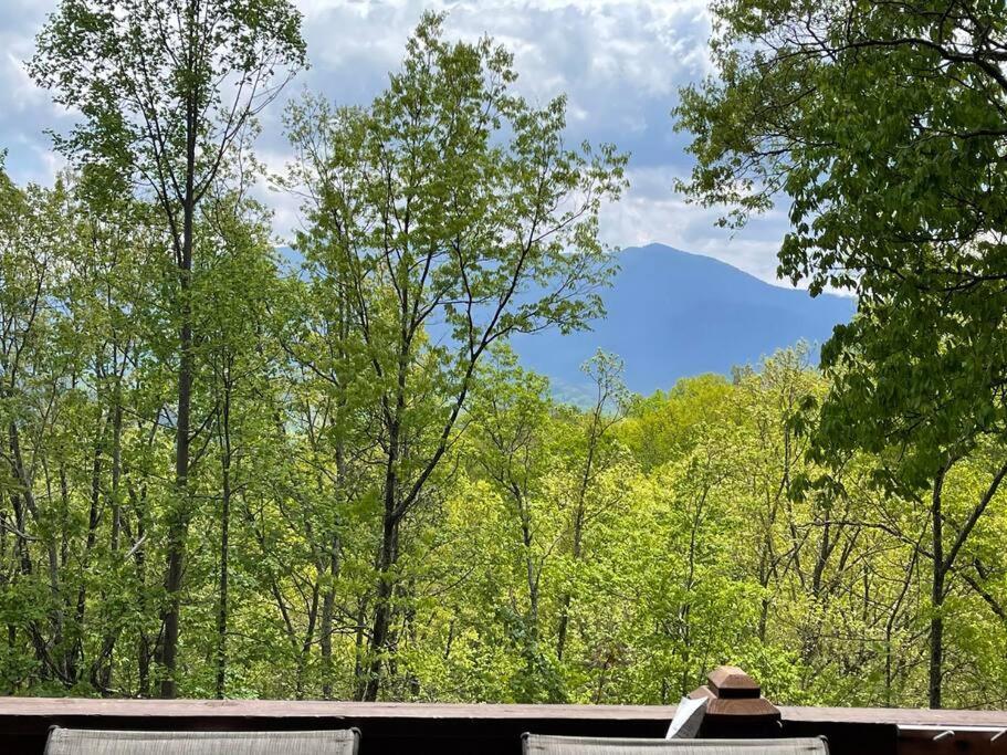 Mountain Escape Chalet-Paradise! Gatlinburg Zewnętrze zdjęcie